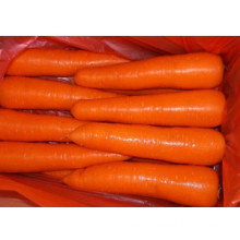 2014 New Crop Fresh Carrot (M grade)